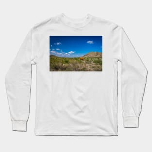 Criollo Cattle on the Open Range Long Sleeve T-Shirt